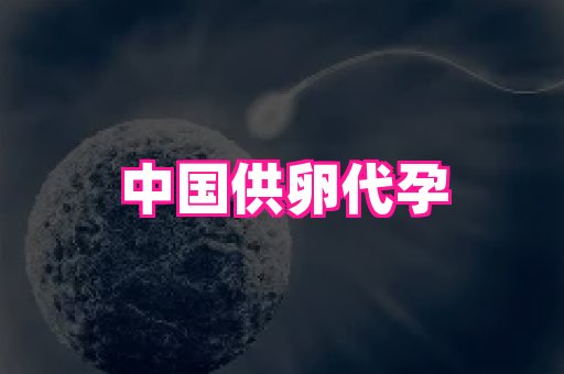 哈尔滨助孕网 1