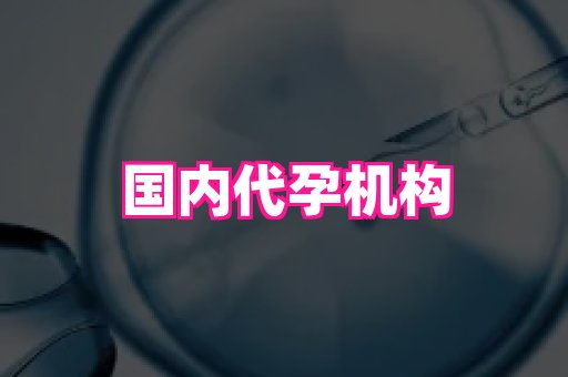 哈尔滨助孕网 2