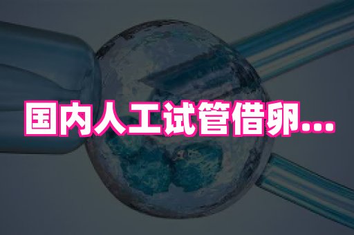 哈尔滨助孕网 3