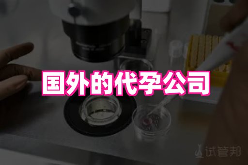 哈尔滨助孕网 4